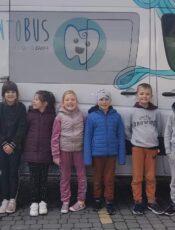 Dentobus